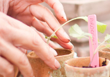 Develop the savings habit of a lifetime
